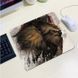 Коврик 240*220 тканевой DOTA2 "Earthshaker", толщина 2 мм, цвет Cray, OEM