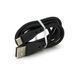 Набор BOROFONE BN2 СЗУ 2xUSB+ кабель Type-C, 2.1A, 1м, Black, Box Borofone &mdash; фото