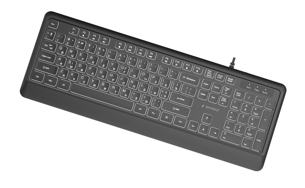 Клавіатура Gembird KB-UML-04-CYRL Black Gembird купити в Україні