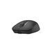 Миша бездротова A4Tech Fstyler FG16CS Air2 Black A4Tech &mdash; фото